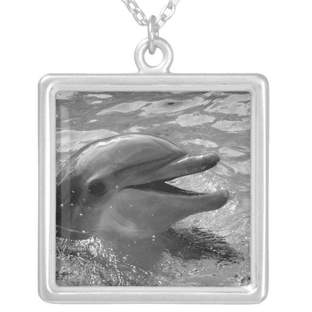 B/W dolphin porpoise head mouth open pendant (Front)