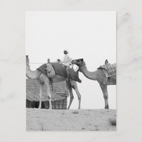 BW Dubai desert Postcard
