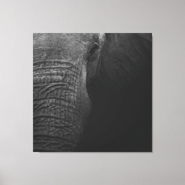 B&W Elephant Canvas Print (Front)