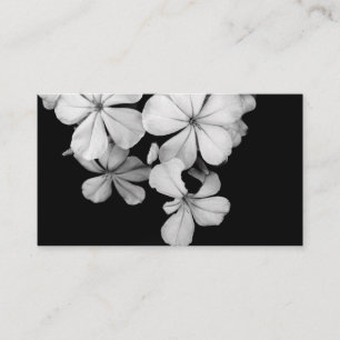 b&w enclosure card