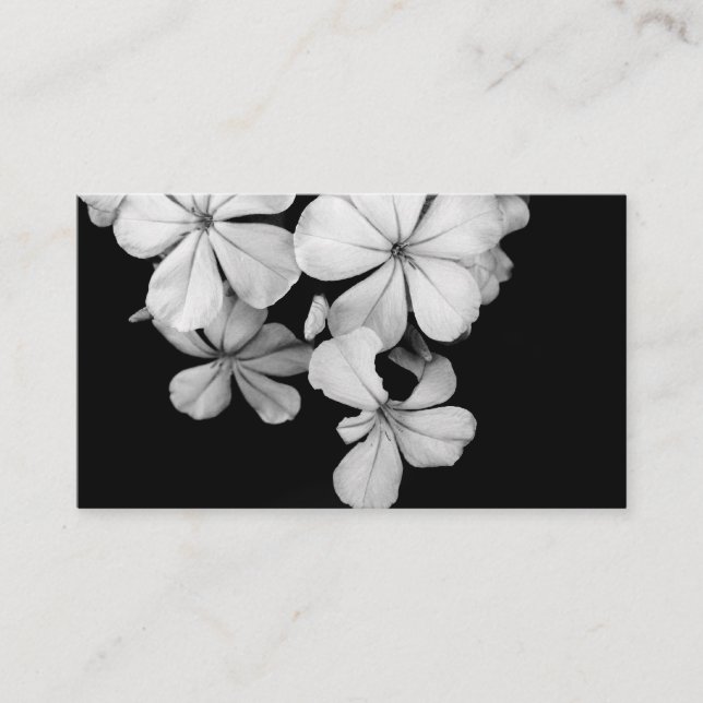b&w enclosure card (Front)