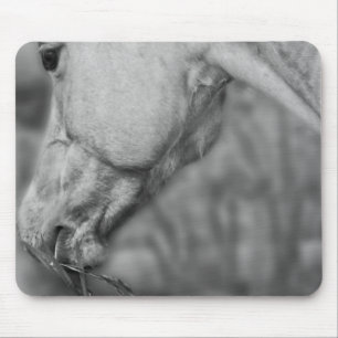 B&W Horse Head ~ Mousepad
