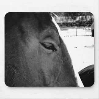 B&W Horse Mouse Pad