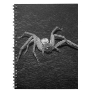 B&W_Huntsman Spider Notebook