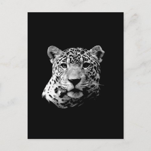 BW Jaguar Postcard