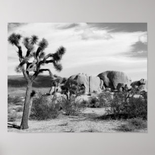 B&W Joshua Tree National Park Poster