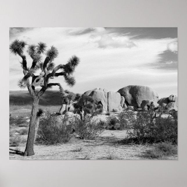 B&W Joshua Tree National Park Poster (Front)