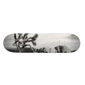 B&W Joshua Tree National Park Skateboard Deck