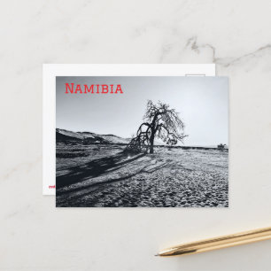 B+W Namib Desert Tree Postcard
