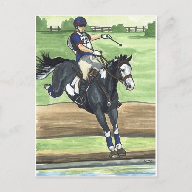 B&W Paint Horse XC into water Eventing Postcard (Front)