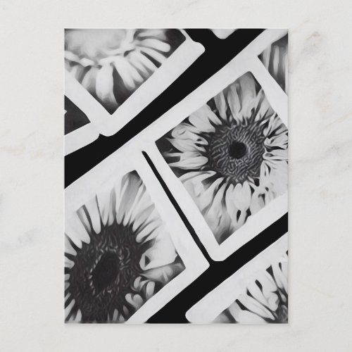 BW Painted Flower Photo Strips Postcard