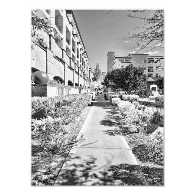 B&W PHOTO PRINT (Front)