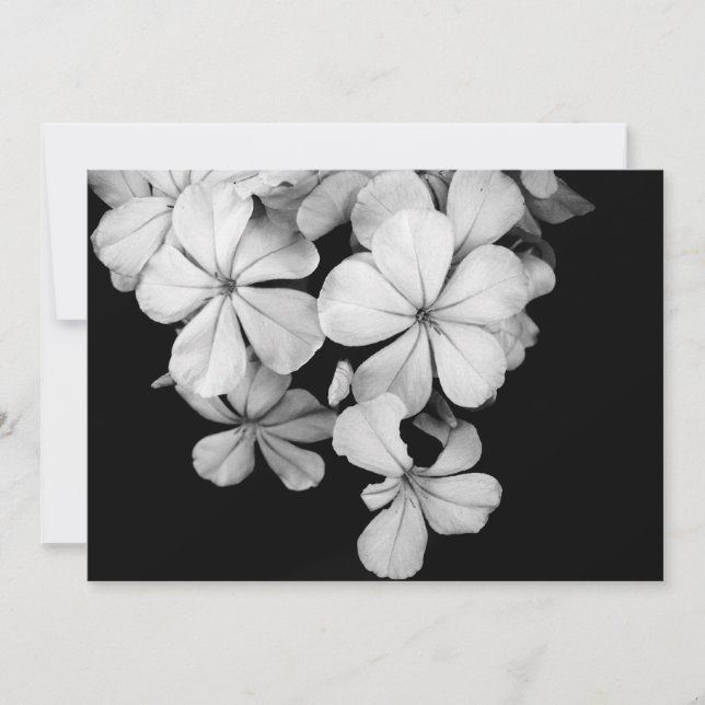 b&w postcard (Front)