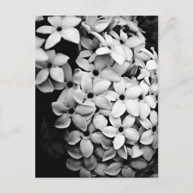 B&W POSTCARD (Front)