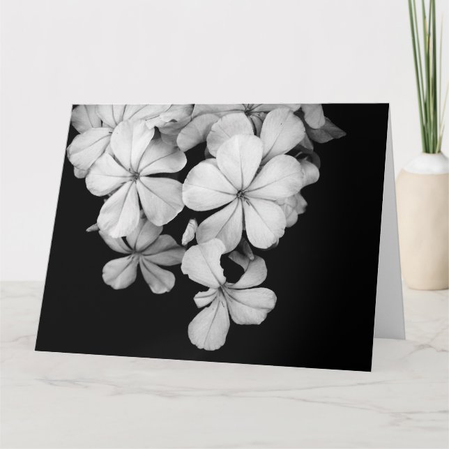 b&w postcard (Front)