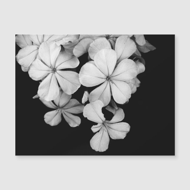 b&w postcard (Front)