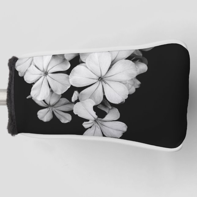 b&w postcard golf head cover (Front)