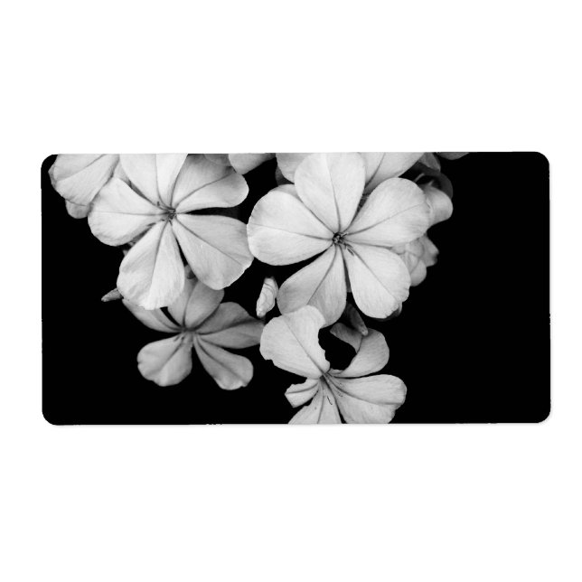 b&w postcard label (Front)