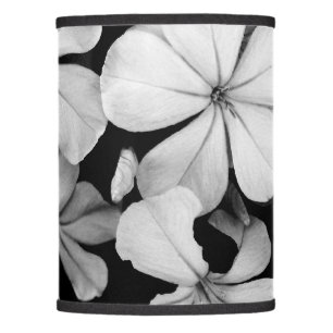 b&w postcard lamp shade