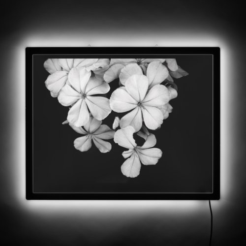 bw postcard LED sign