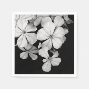 b&w postcard napkins