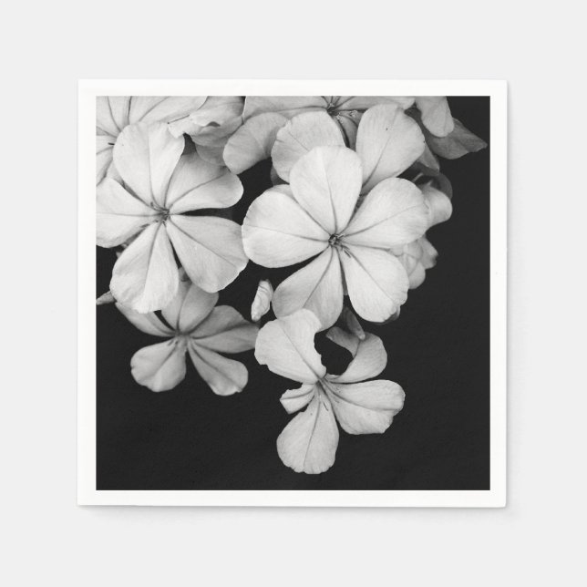 b&w postcard napkins (Front)