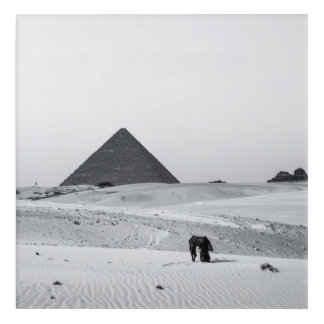 B&W Pyramids Acrylic Print