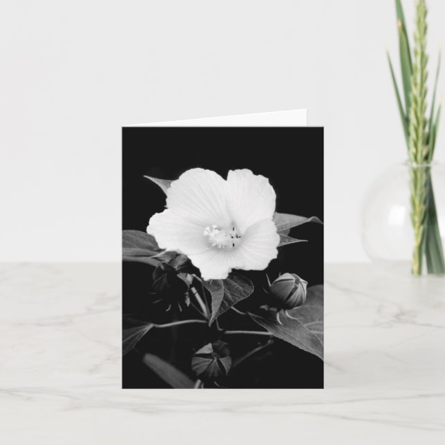 B&W Rose Mallow Blank Note Card (Front)