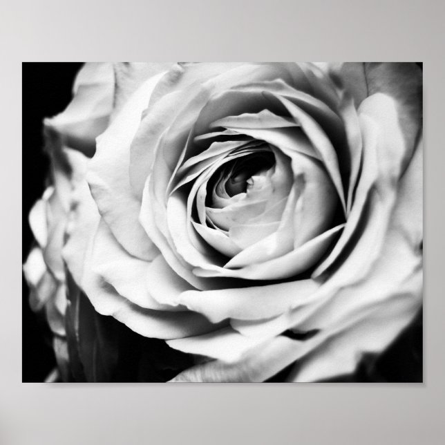 B&W Rose Sharpened Poster (Front)