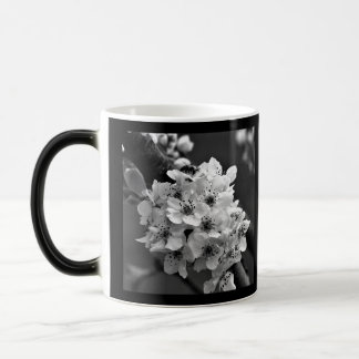 B&W Small White Flowers Photo Color Morph Mug