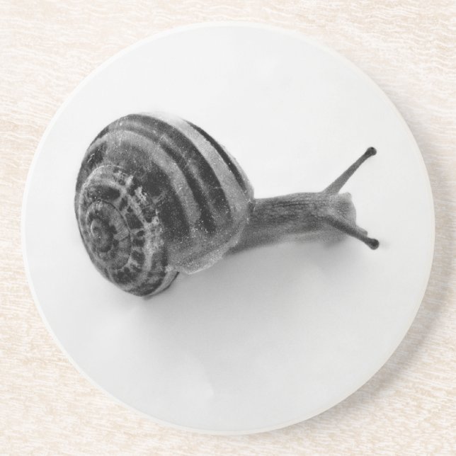 B&W snail Drink Coaster (Front)