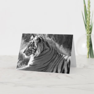 B&W Tiger Profile Photo Holiday Card