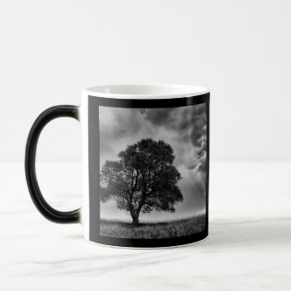 B&W Tree & Sky Photo Color Morph Mug