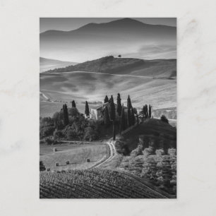 B&W Tuscany Postcard