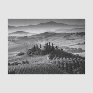 B&W Tuscany Tissue Paper