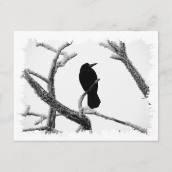 B&w Winter Raven Edgar Allan Poe Postcard by VoXeeD at Zazzle