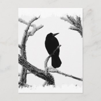 B&w Winter Raven Edgar Allan Poe Postcard by VoXeeD at Zazzle