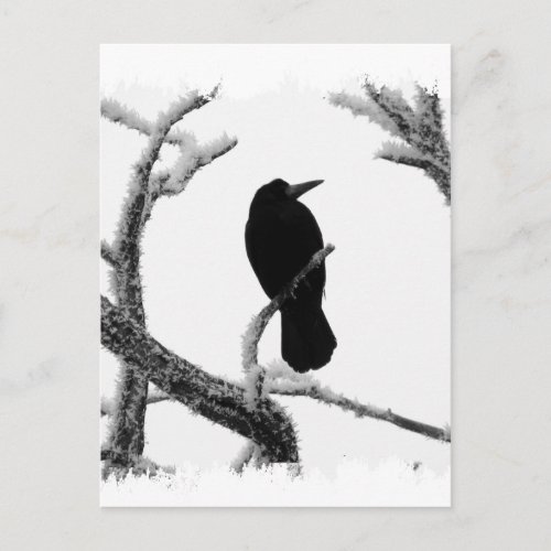 BW Winter Raven Edgar Allan Poe Postcard