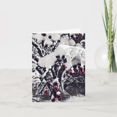 BW with Red Crab Apple Berries in Snow Xmas Card
