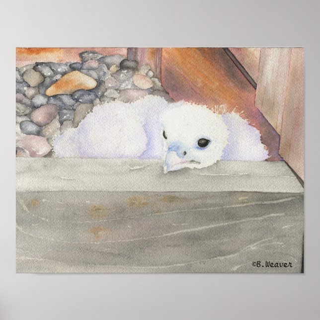 B.Weaver Orion design 14" x 11" Poster (Front)