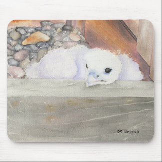 B.Weaver Orion design Mousepad