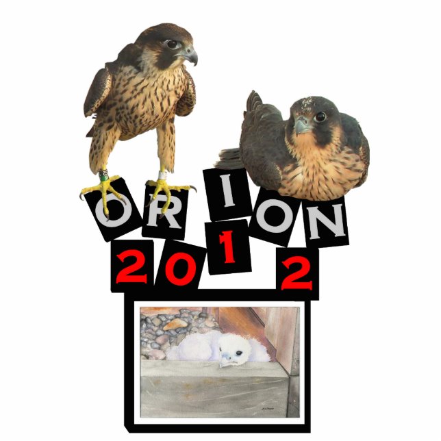 B.Weaver Orion design photo sculpture (Front)