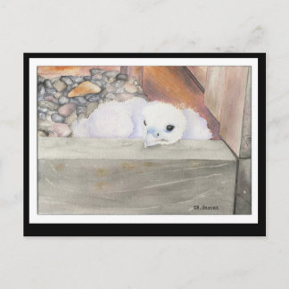 B.Weaver Orion design Postcard