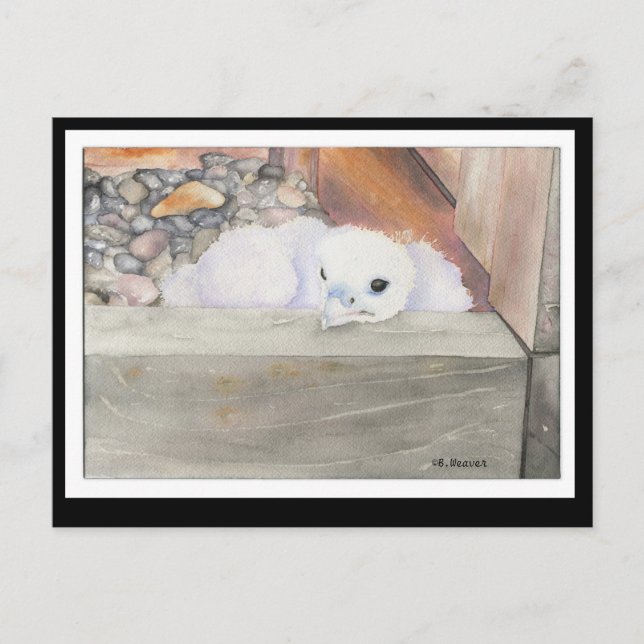 B.Weaver Orion design Postcard (Front)