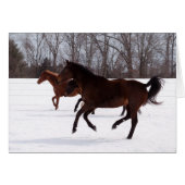 B Zen Snow Run (Front Horizontal)