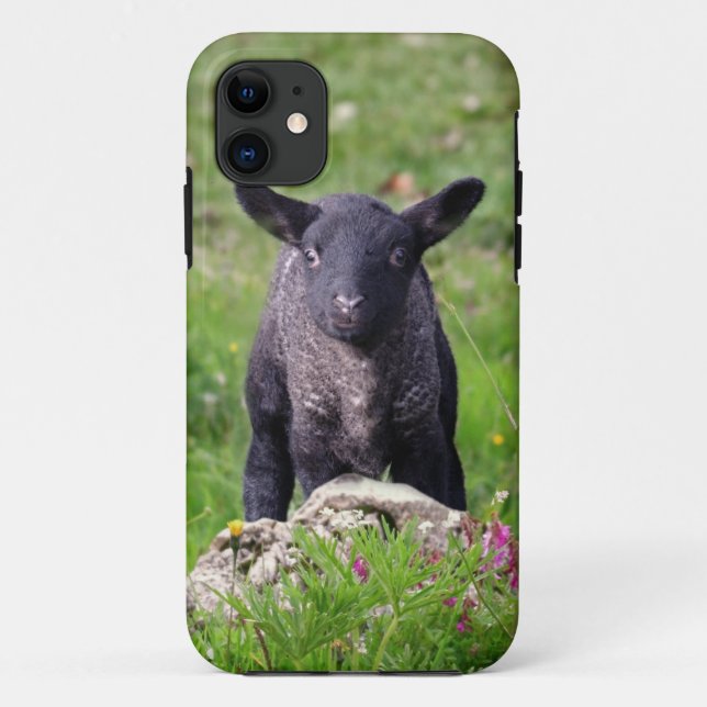 Baa Baa Black Sheep iPhone 5 Case-Mate Case (Back)
