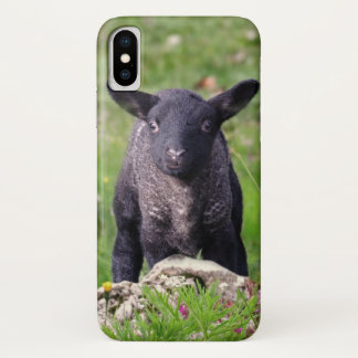 Baa Baa Black Sheep iPhone X Case