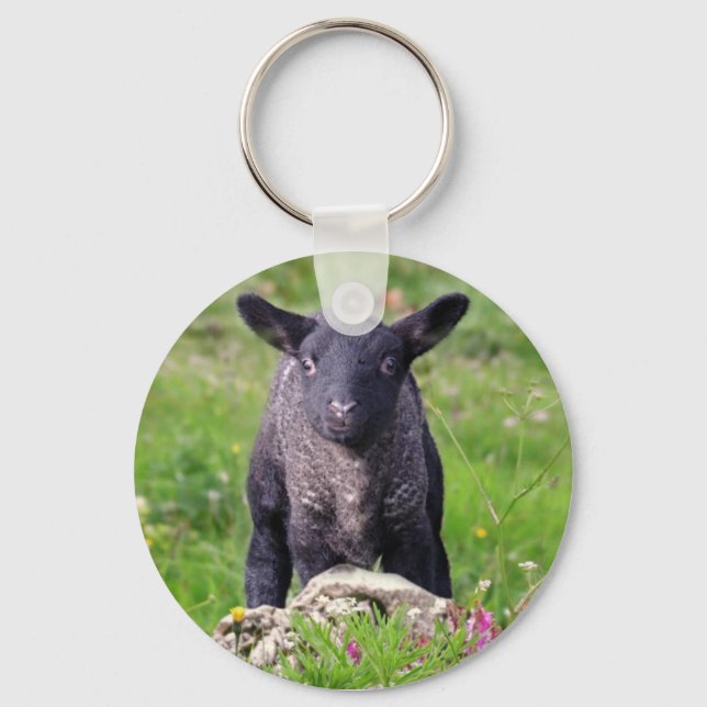 Baa-Baa Black Sheep Keyring (Front)