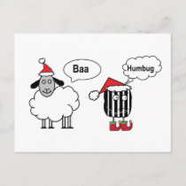 Baa Humbug Funny Festive Cartoon Postcard