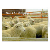 Baaaaa!- Keep in Touch! (Front Horizontal)